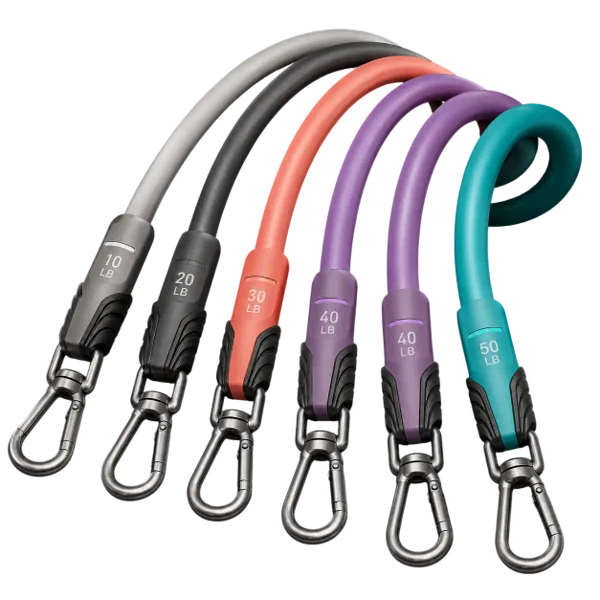 Exercise Bands